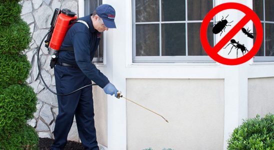 Eğirdir Dezenfeksiyon böcek ilaçlama ve haşere kontrolü — ilaclama-tr.com